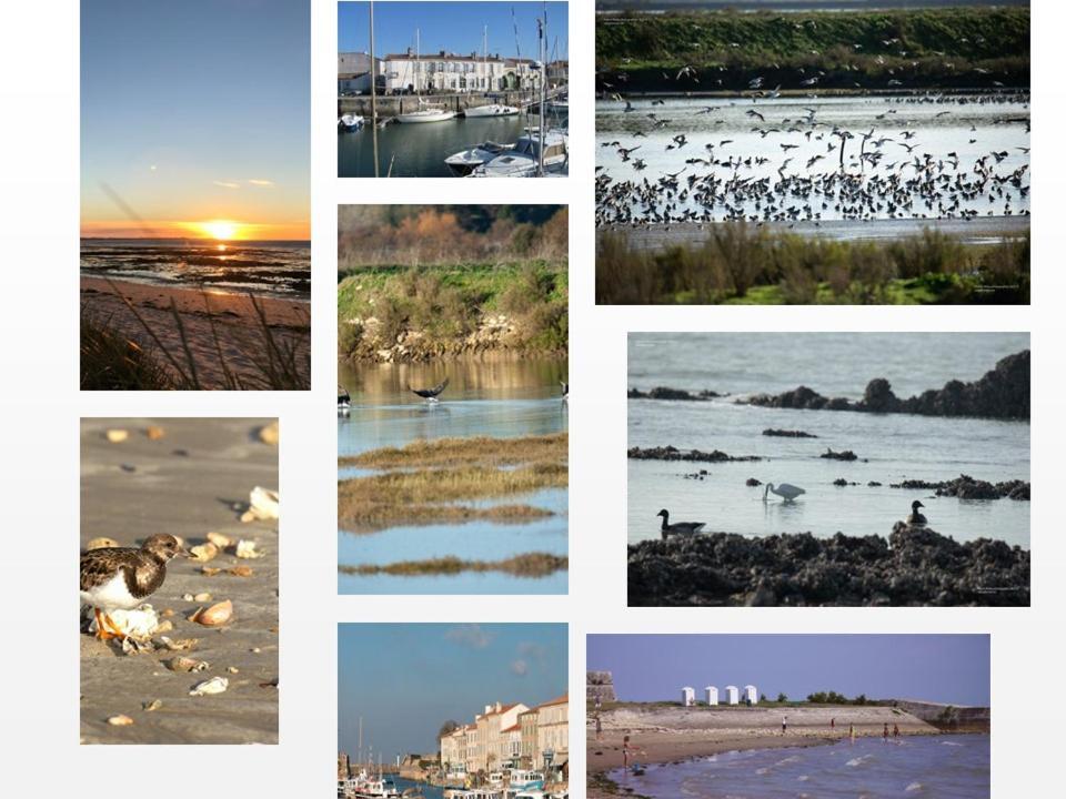 Ile De Re, La Danae, Velos, Wifi, Possibilite Cuisine, Linge, Parking Gratuit Saint-Martin-de-Ré Eksteriør billede